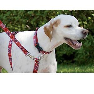 Lupine No Pull Training Harness Accessory - Quick and Easy On & Off Made in USA