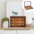 Terrarium and Specimen Holder, Jewelry Organizer Box