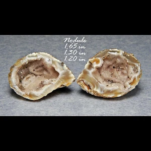 OCO QUARTZ (AGATE) GEODE BRAZIL MINERALS CRYSTALS GEMS-SCB - Picture 1 of 1