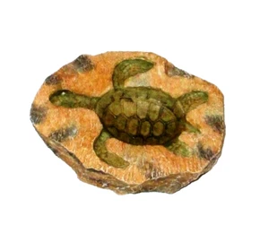 Schildkröte 'Fossil Rock' Polyresin Schreibtisch Ornament / Briefbeschwerer handbemalt. - Bild 1 von 3