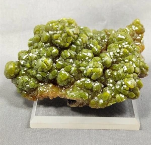 Pyromorphite, Bunker Hill Mine, Kellog, Shoshone County, Idaho, #pymc4 - Picture 1 of 7