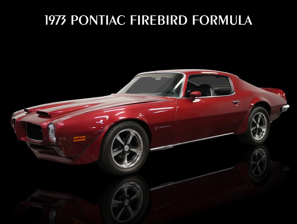 Pontiac Firebird Formula 1973 en rojo intenso nuevo letrero de metal: 9x12" envío gratuito Foto 1 de 1