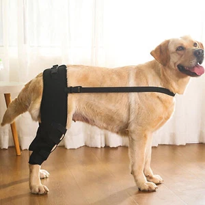 Dog Knee Brace for Torn ACL, Hip Dysplasia, Arthritis Pain Relief Osteoarthriti - Picture 1 of 13