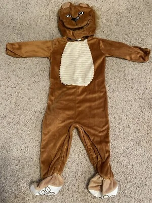 Boys Size 12 To 18 Months Lion Halloween Costume - Image 1 of 4