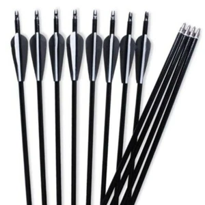 12Pcs 30" Fiberglass Arrows Archery Spine 500 OD 8mm with Replaceable Arrowheads - Picture 1 of 14