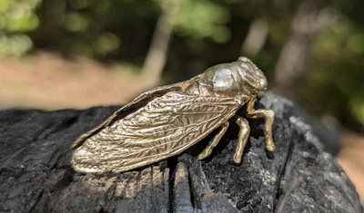 Cicada Insect cast in solid bronze handmade sculpture Jar Fly Harvest Fly weird - Image 1 of 4