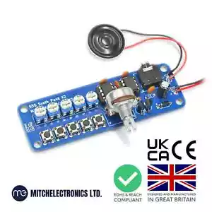 Kit electrónico hágalo usted mismo 555 Synth Punk - Imagen 1 de 1