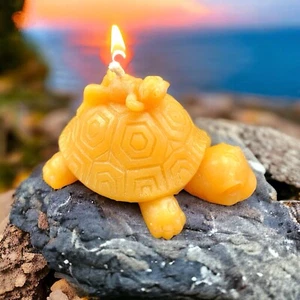 Good Luck Turtle beeswax Candle. 100% Pure Canadian Beeswax. 3.5" W x 2" H - Picture 1 of 10
