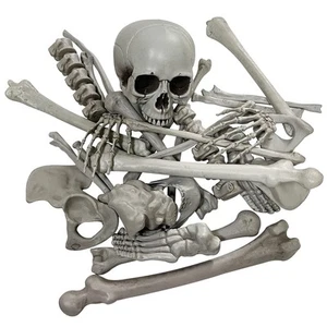 Halloween Skeleton Bones Realistic Looking Skulls Human Skeleton For Hallowee... - Picture 1 of 9