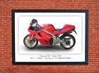 Triumph 955i Motorcycle Motorbike Print Poster Photographic Paper Wall Art