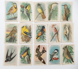 Useful Birds of America Arm & Hammer 10th Series of 15 Vintage Lithograph Cards - Picture 1 of 9