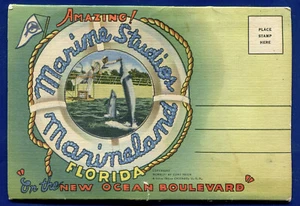 Marine Studios Marineland Florida Postkartenmappe PF780 - Bild 1 von 2
