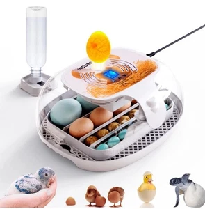 Incubatrice per uova con display umidità, girauova automatico, candela uova led LEGGI - Foto 1 di 8