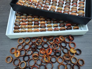 5-200Pcs Wholesale Leopard Band Ring Jewelry Lot Mixed Bulk Natural Wooden Rings - Picture 1 of 19