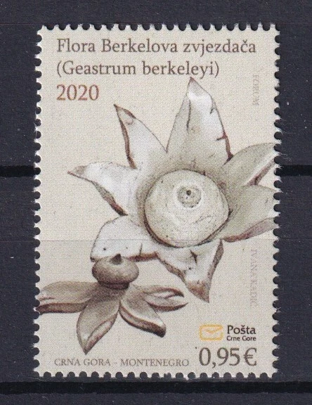 Montenegro 2020 Flowers MNH stamp - Image 1 of 1