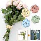 Spira Ikebana Stem Holder for Vases,Bouquet Twister FlowerArrangement DIY 1/2X