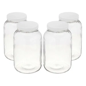 Kombucha Jars Pack of 4 (1 Gallon Glass Jars with BPA-Free Lids) Made in USA Jar - Picture 1 of 5