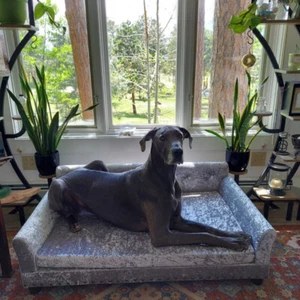 Waterproof Jumbo Large Comfortable Pet Couch Dog Sofa Bed Lounge for Great Dane - Picture 1 of 22