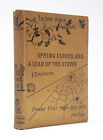 Ivan Turgenev / SPIDER WEB BOOKBINDING Spring Floods and A Lear 1st Edition 1874