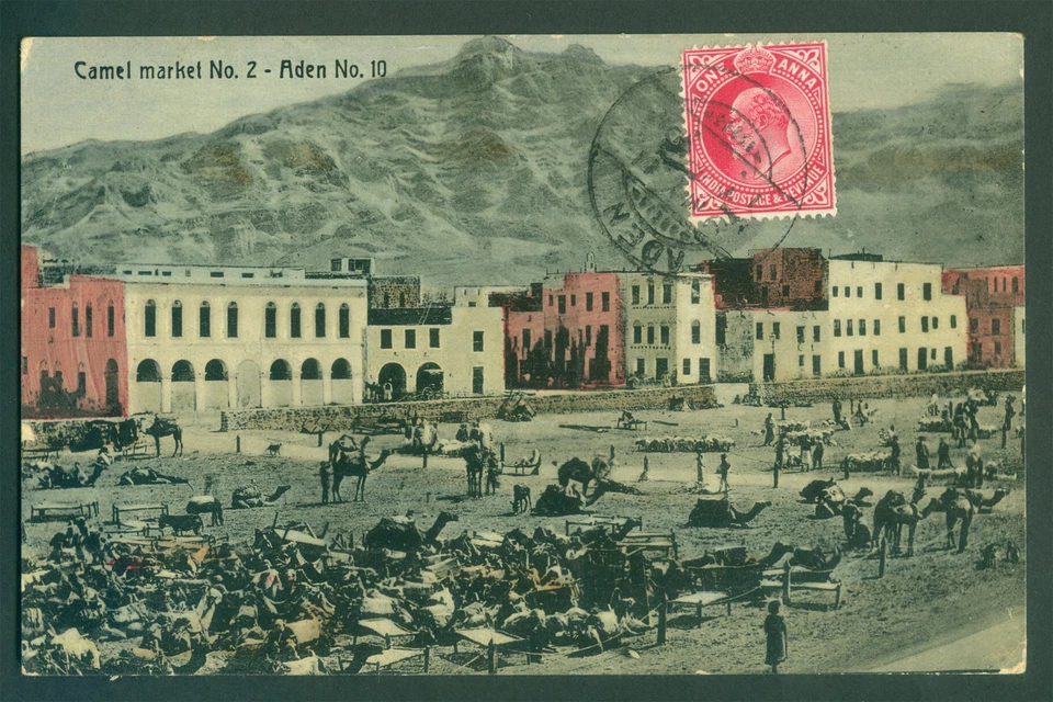 Postal de las Colonias Británicas ADEN 1911 "Mercado de Camellos" con B. India KEVII 1c a Alemania Foto 1 de 2