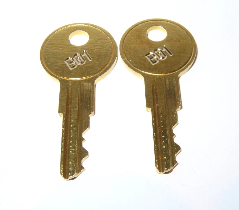 B01 Husky Caja de Herramientas Llaves de Repuesto Home Depot Cortadas a B01 Nuevas Llaves Caja de Herramientas Foto 1 de 1