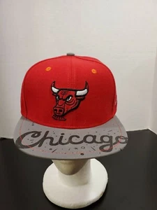 Melonwear NBA Chicago Bulls 2018/19 Artists Series Chema Skandl - NUEVO - Imagen 1 de 7