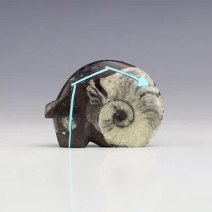FETICHE DE OSO NATIVO AMERICANO ZUNI ORTHOCERAS POR KENRIC LAIWAKETE - Imagen 1 de 8
