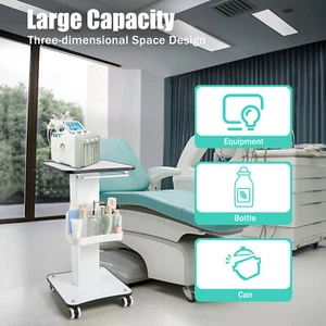 Rolling Trolley Cart SPA Beauty Salon Storage Equipment Machine Stand Organizer - Picture 1 of 11