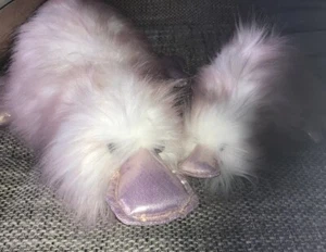 NICI Ente Emmalinchen Rosa  wunderschön Stofftier Plüschtier Kuscheltier - Bild 1 von 10