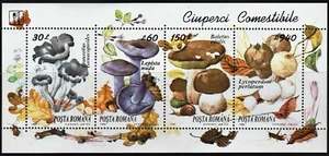 ROMANIA 1994 Mushrooms, MNH minisheet - Picture 1 of 1