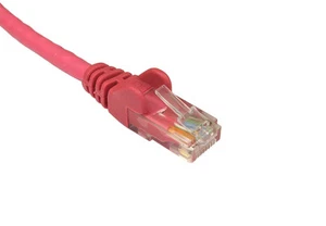 10 x 0,25 MTR ROSA CAT5E CAVO PATCH ETHERNET CAVO PATCH CAVO - Foto 1 di 1