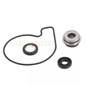 Bomba de agua aceite sello antipolvo oring para Suzuki GSF250 Bandit 1992-2000 1993 1994 1999 - Imagen 1 de 5