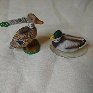 Schleich MALLARD DUCK Femmina 2009 Ritirato 13653 Maschio Drake in Acqua 13727 Coppia 2 - Foto 1 di 6