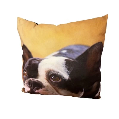French Bulldog 16x16x6 inches Photo Throw Bed Couch Pillow Dog Big Eyes Decor - Image 1 of 4