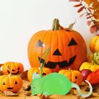 Halloween Przerażający Dekoracja Halloween Podstępna Zabawka Halloween Skarbek Rekwizyt