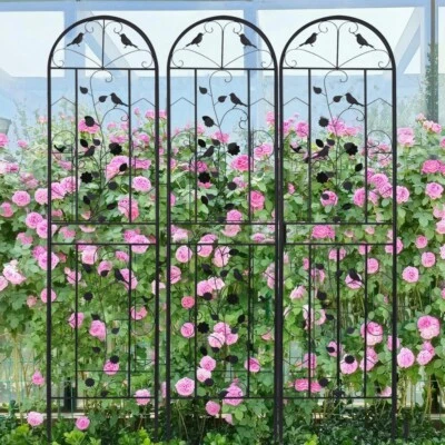 2pcs Heavy Duty Metal Garden Trellis Fence Plant Climbing Stand Antirust Border - Image 1 of 4