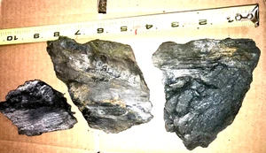 VERSTEINERTES HOLZ MESOXYLON MENGE 3 PENNSYLVANIA - Bild 1 von 3