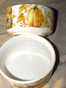2018 Botanical Pumpkin Stoneware 6" Soup Cereal Serving Bowls TWO NEW - Picture 1 of 2