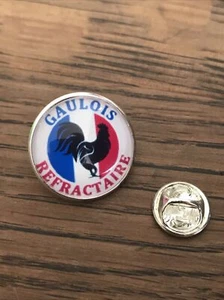 GROS PIN'S 2cm Métal Argenté Gaulois Réfractaire Drapeau France 🇫🇷 Coq - Imagen 1 de 1