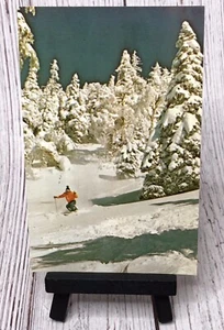 Warren VT Sugarbush Ski Area Resort Man Skiing On Slopes Winter Vermont Postcard - Picture 1 of 4