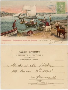 TURQUÍA 1905 PPC BARCOS BÓSFORO + PERROS 10p PERF 13 + MATASELLOS NATIVOS a FRANCIA - Imagen 1 de 3