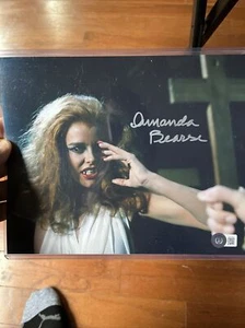 AMANDA BEARSE signed 8x10 Photo FRIGHT NIGHT 1985 Amy Peterson | Beckett COA  - Picture 1 of 2