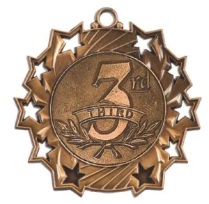 Third Place 3rd Place Medals Award Trophy W/Free Lanyard FREE SHIPPING TS422 - Picture 1 of 2