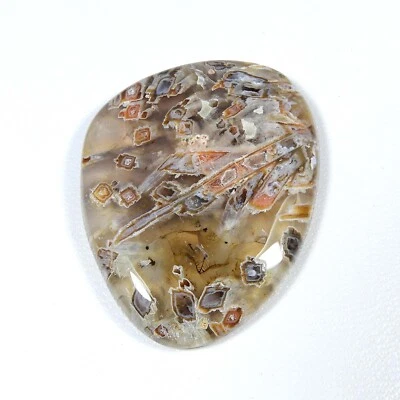 Pseudomorph Stick Agate Cabochon Fancy Shape Natural Gemstone Loose 60 Cts #8120 - Image 1 of 4