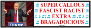 Anti Trump: SUPER CALLOUS FACIST RASSISTISCH... humorvoller politischer Aufkleber - Bild 1 von 6