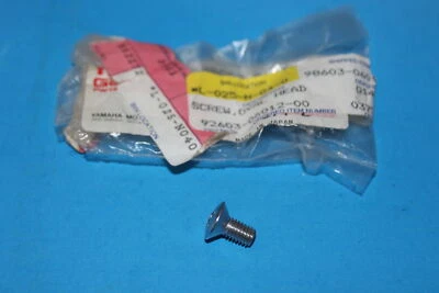 TORNILLO CABEZA OVALADA YAMAHA 1982 1983 YZ490 92603-06012 SUB OEM # 98603-06012-00 NUEVO DE STOCK Foto 1 de 3
