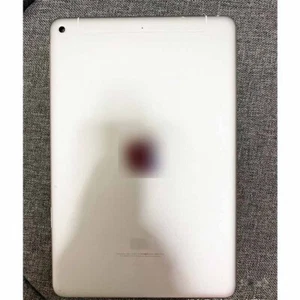 Genuine For iPad mini 5 (4G) Version Battery Back Cover Rear Housing Silver - Picture 1 of 1