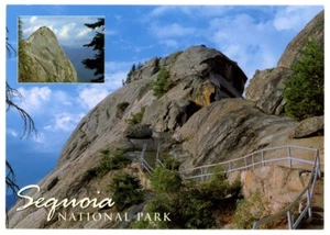 24751: Sequoia National Park (2010s) - Moro Rock Postcard! - Imagen 1 de 2