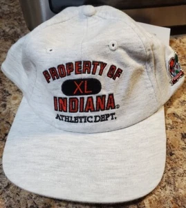 Indiana Hoosiers Hat Baseball Cap Strapback NCAA University Vintage 1994 - Picture 1 of 5