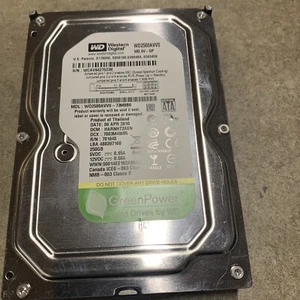 Disco duro PC de escritorio Western Digital 250 GB SATA 7200 rpm 3,5" WD2500AVVS-73M8B0 - Imagen 1 de 6